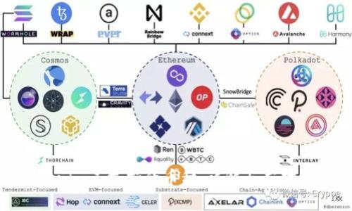Tokenim不支持的币种：详解与应对策略